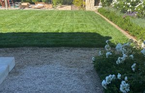 lawn-project-one-03-300×192